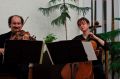 Viola and cello